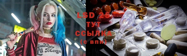 прущие крисы Абаза