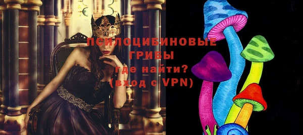 прущие крисы Абаза