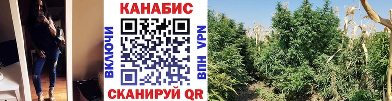 что такое наркотик  Мосальск  ссылка на мегу сайт  Конопля Ganja 